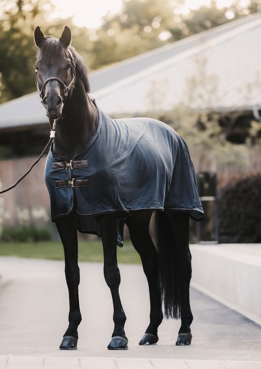 ムートンラグKnight Industries Award Rug ムートンラグKnight ムートンラグKnight Industries Award Rug ムートンラグKnight
