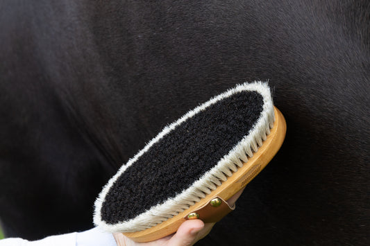 Overall Brush Body Shine