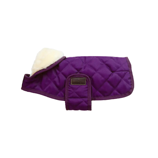 Manteau pour chien Original | Violet royal