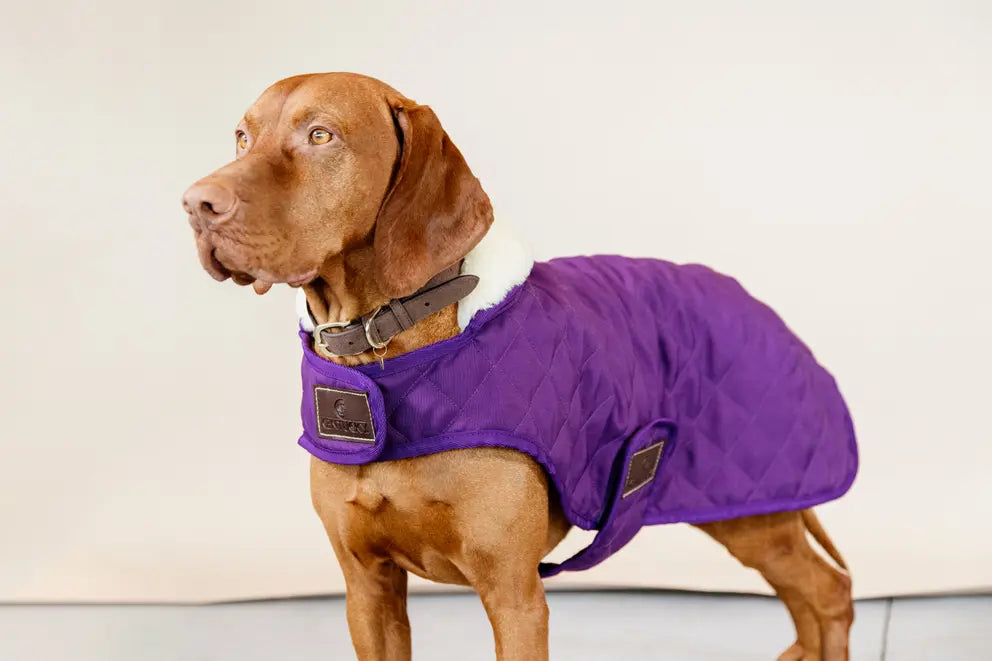 NEW! Dog Coat Original | Royal Purple