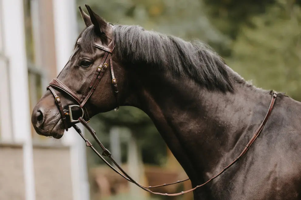 5/8" Hunter Reins With 7 Leather Loops | D COLLECTION