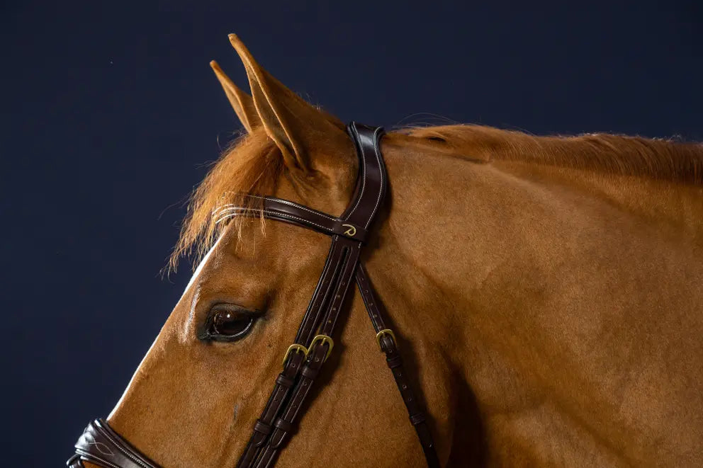 Anatomic Flash Noseband Bridle | D COLLECTION