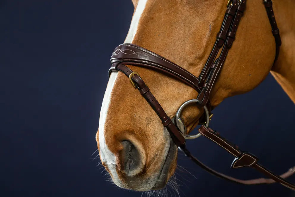 Anatomic Flash Noseband Bridle | D COLLECTION