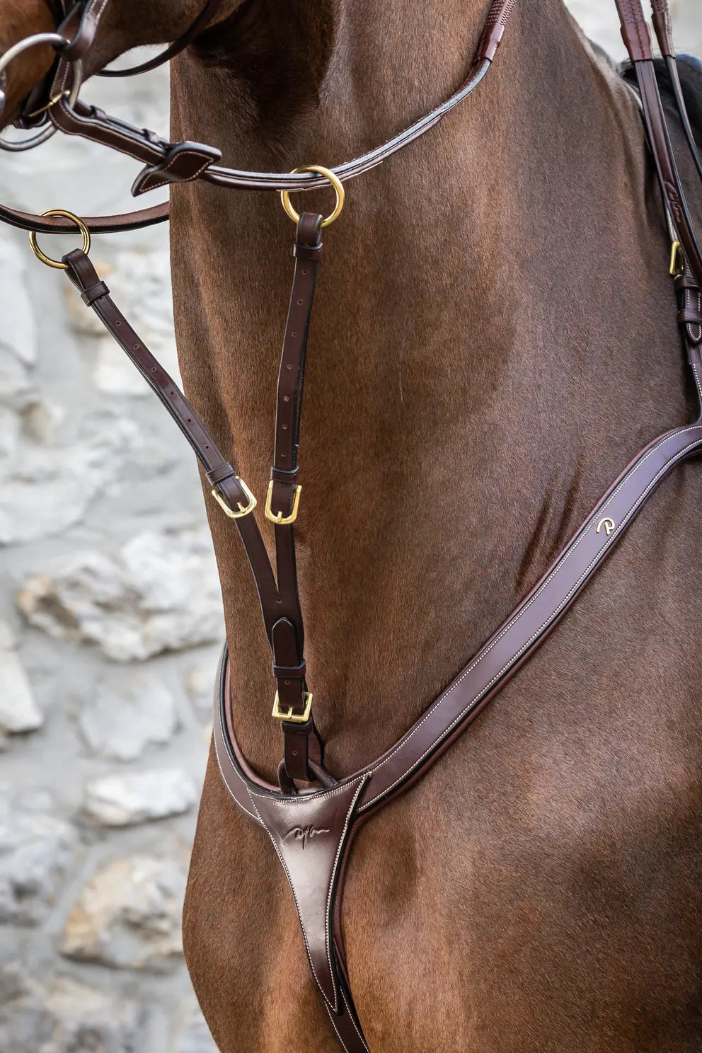 Running Martingale Attachment | D COLLECTION