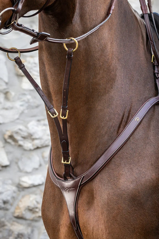 Running Martingale Attachment | D COLLECTION