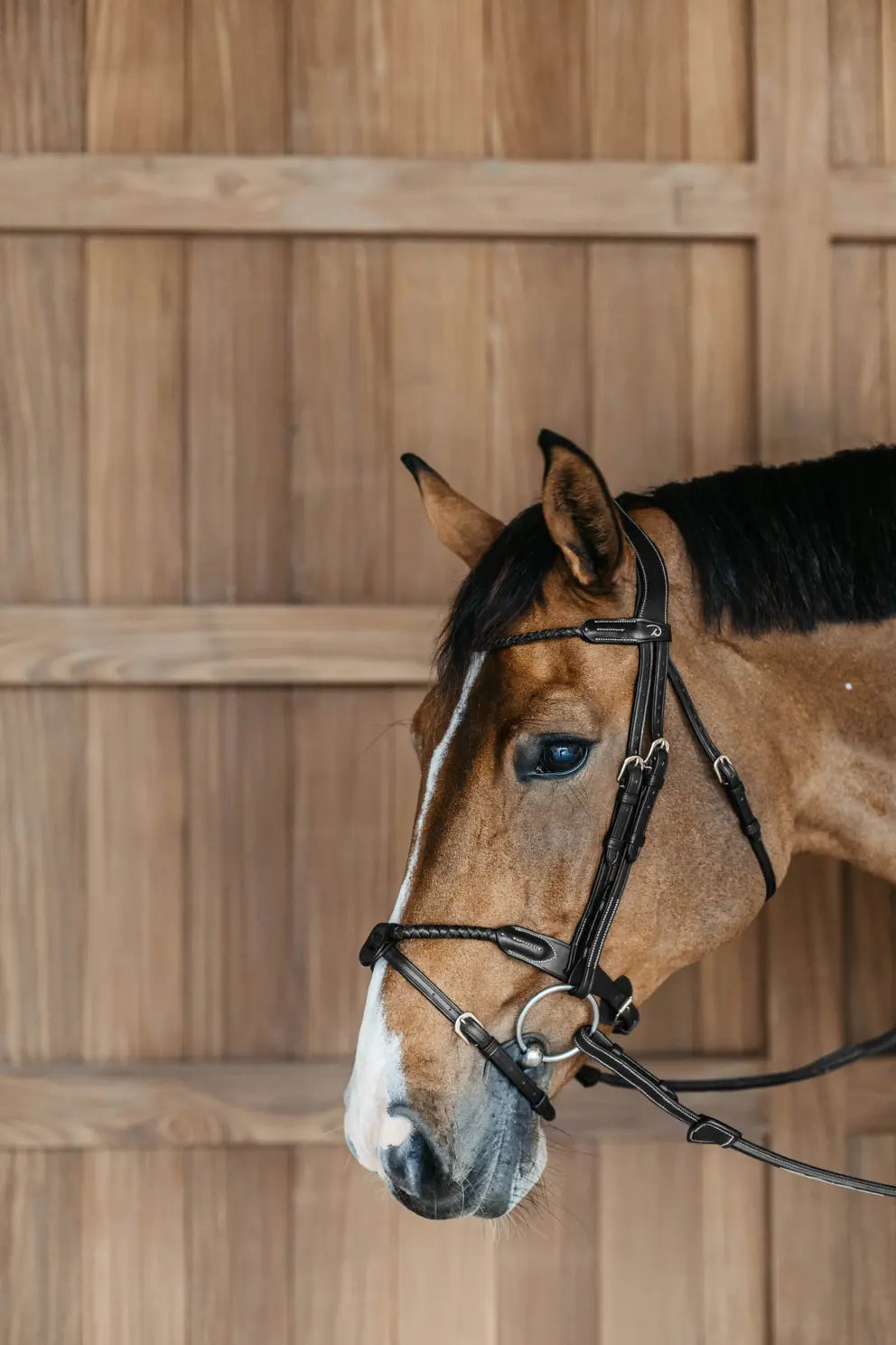 Braided Flash Noseband Bridle | D COLLECTION