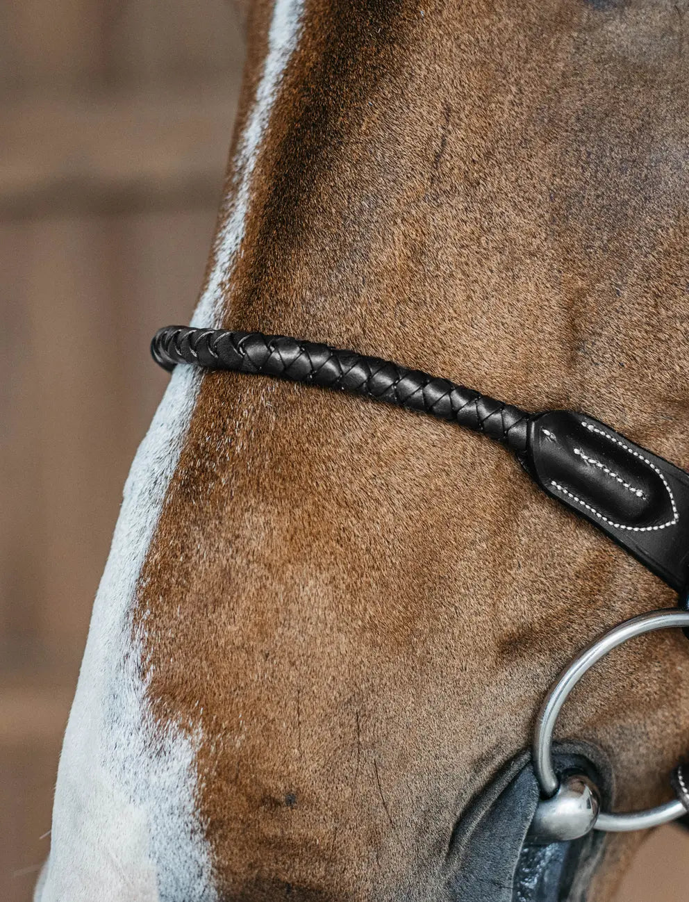 Braided Flash Noseband Bridle | D COLLECTION