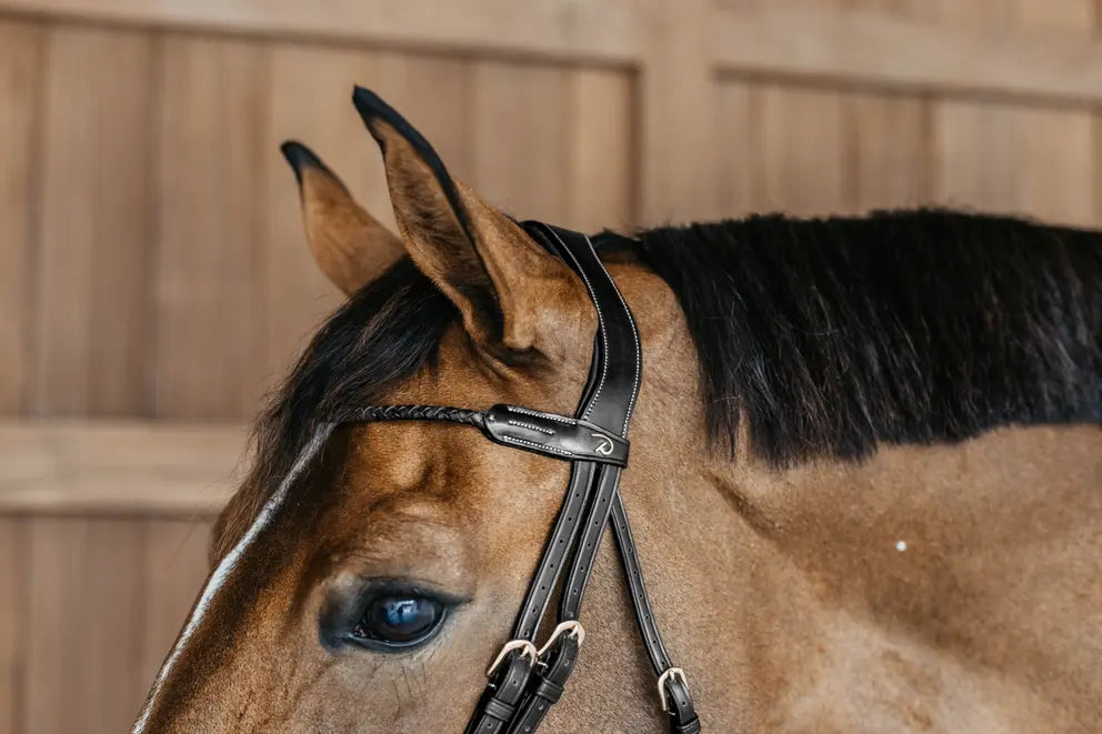 Braided Flash Noseband Bridle | D COLLECTION