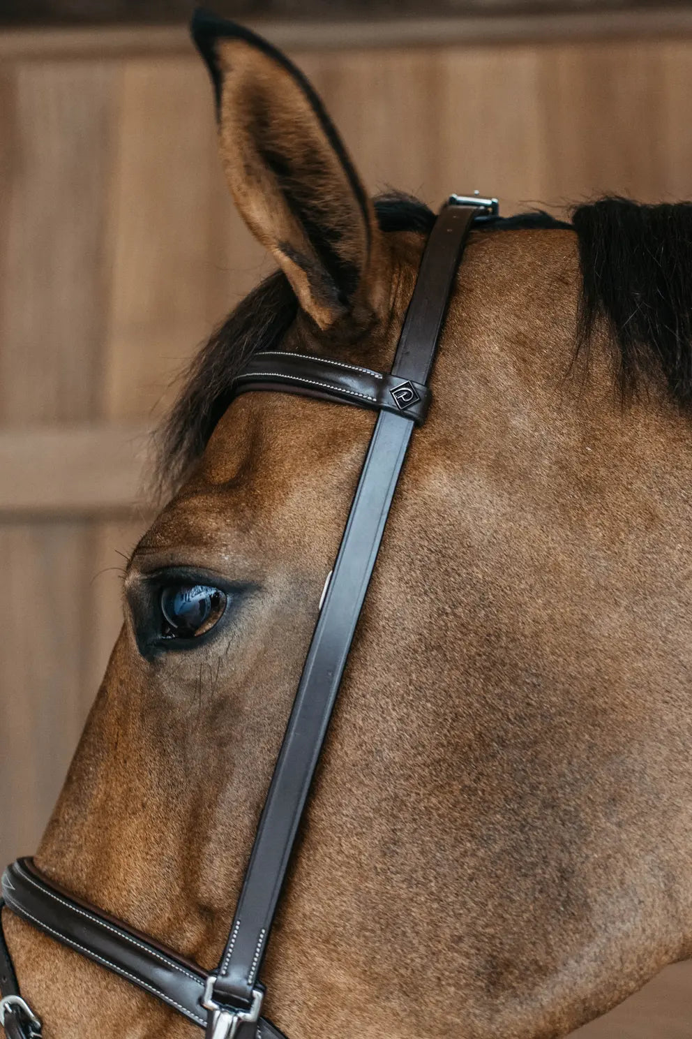 Training Bridle | WORKING BY DY'ON