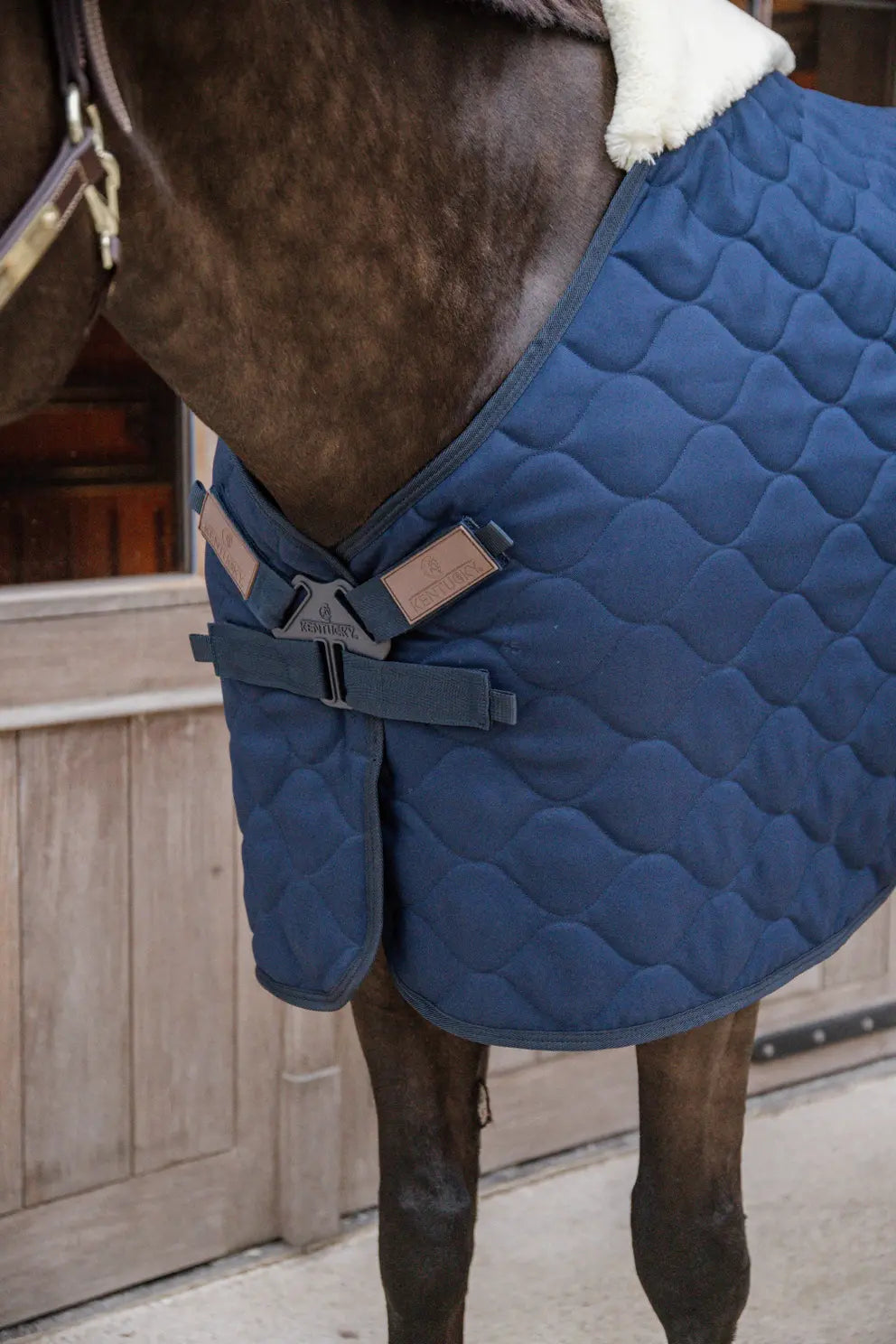 Stable Rug Comfort