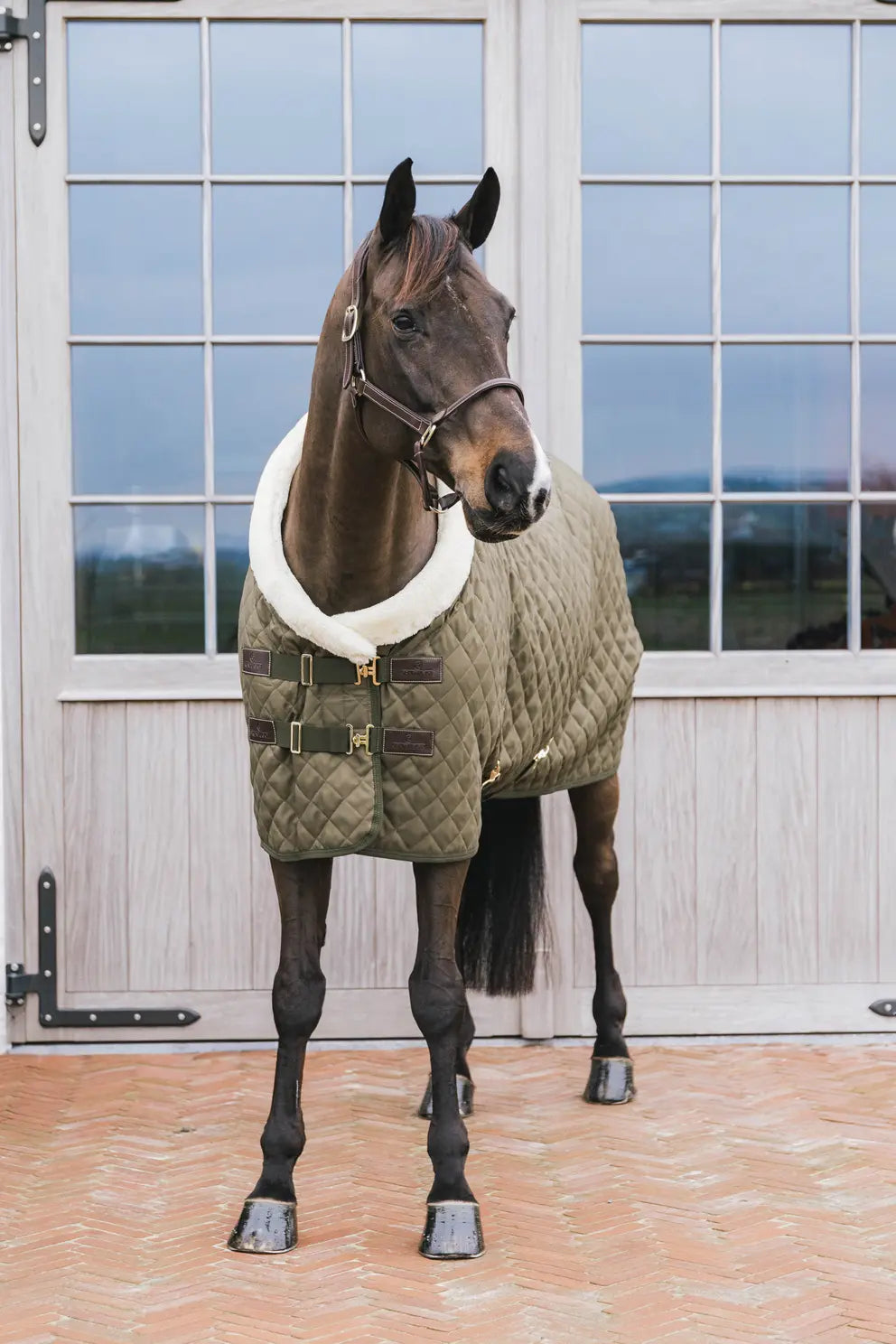 Show Rug 160g | Kaki