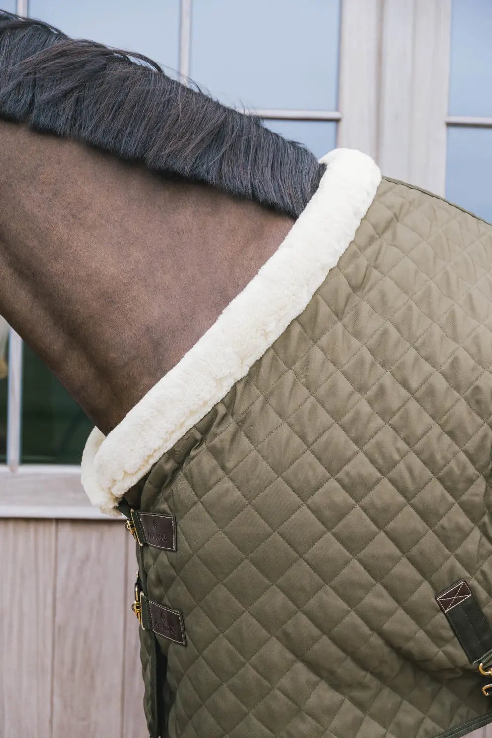 Show Rug 160g | Kaki