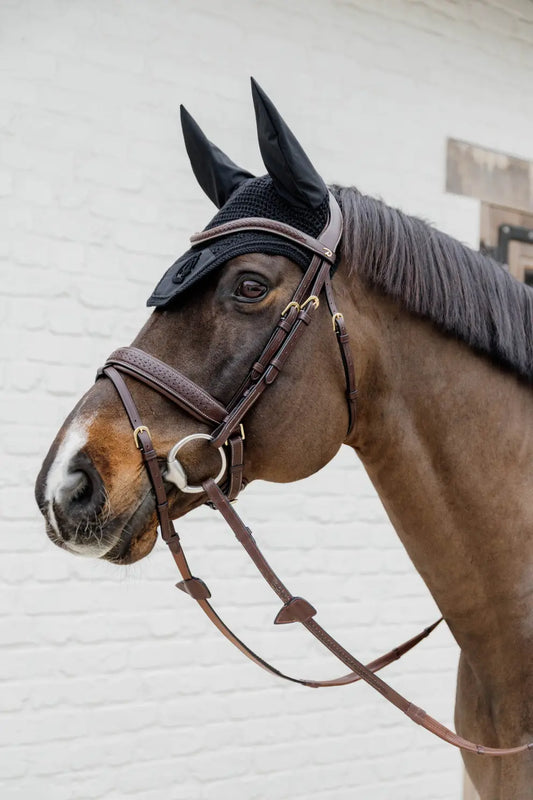 Plaited Flash Noseband Bridle with Pull back | D COLLECTION