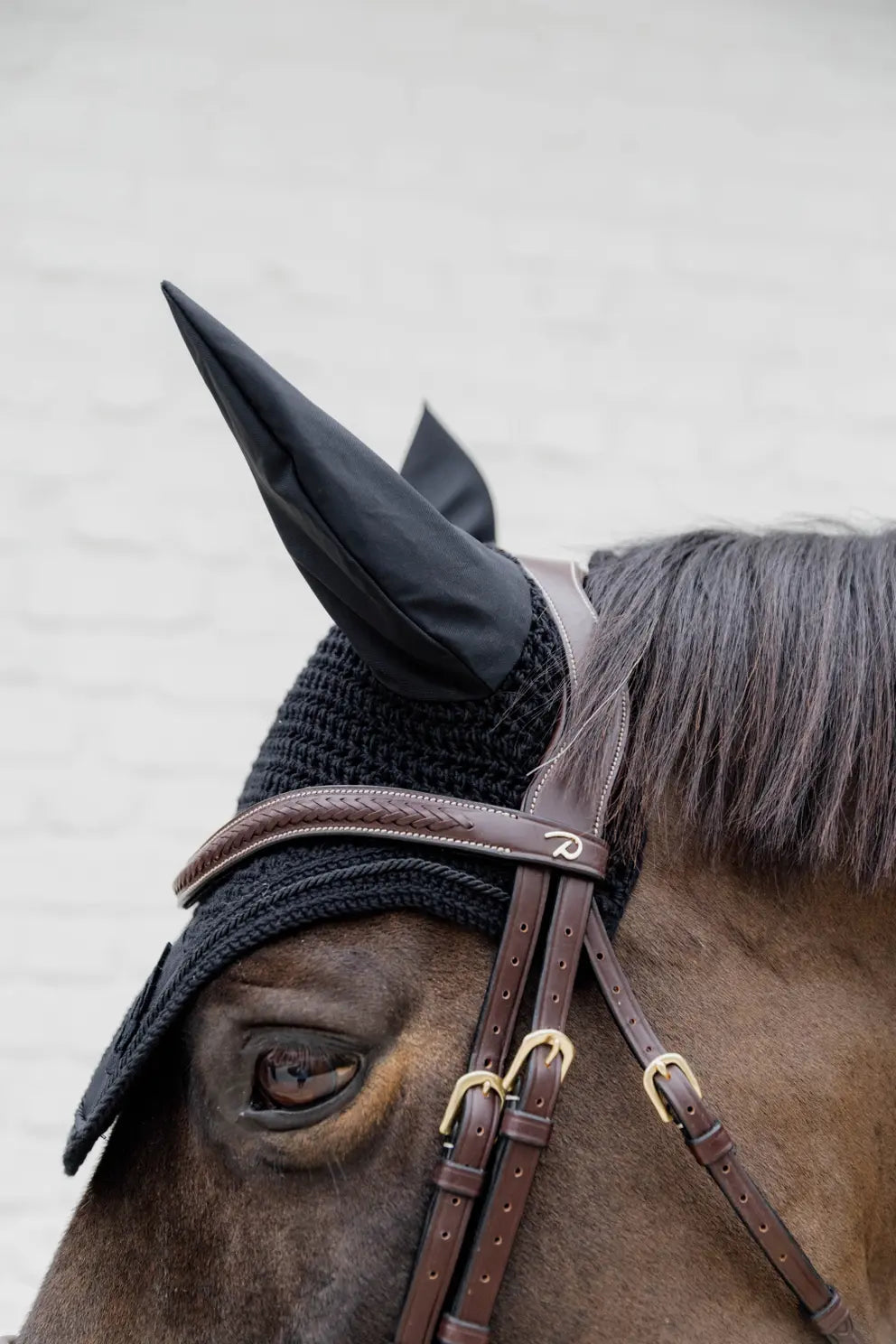 Plaited Flash Noseband Bridle with Pull back | D COLLECTION