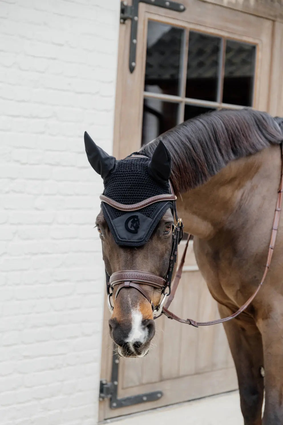 Plaited Flash Noseband Bridle with Pull back | D COLLECTION