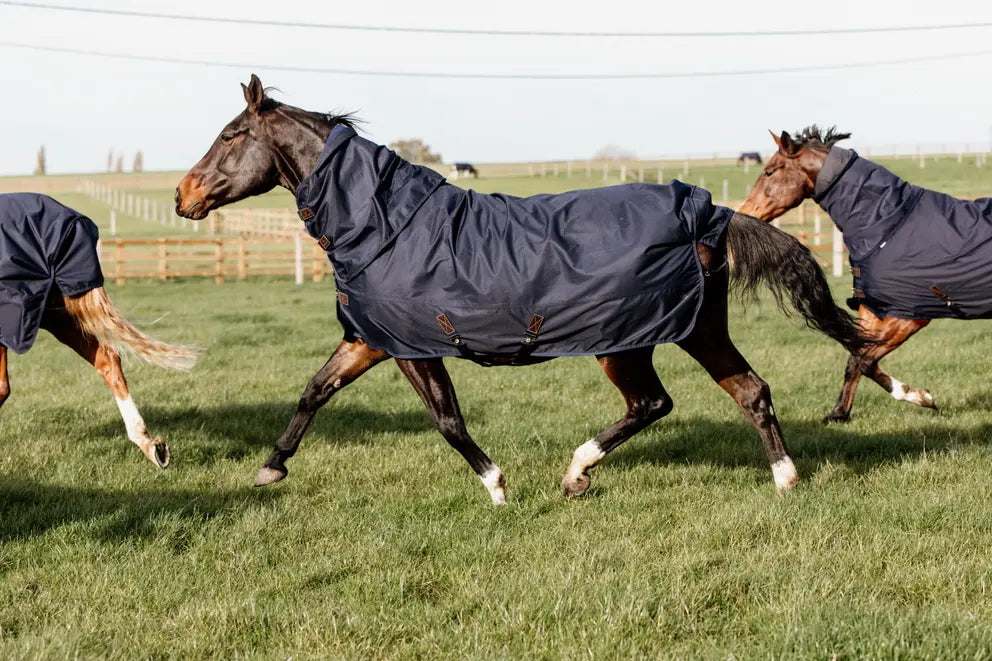 Turnout Rug All Weather Quick Dry Fleece With Neck