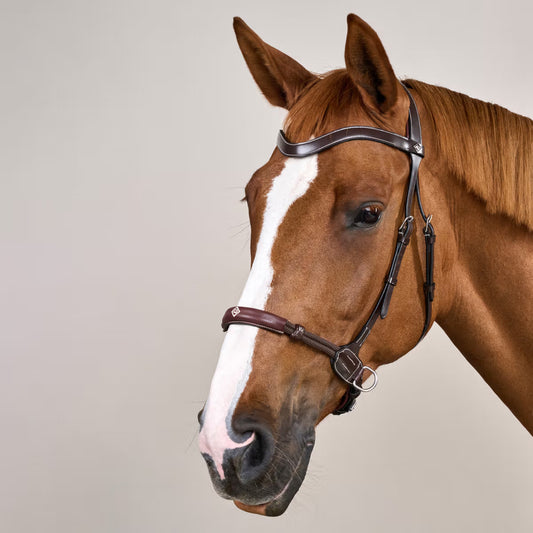 Bitless Bridle WO