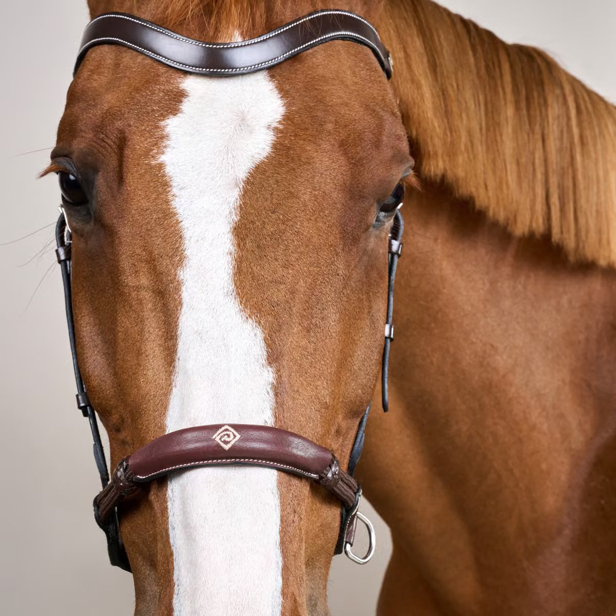 Bitless Bridle WO