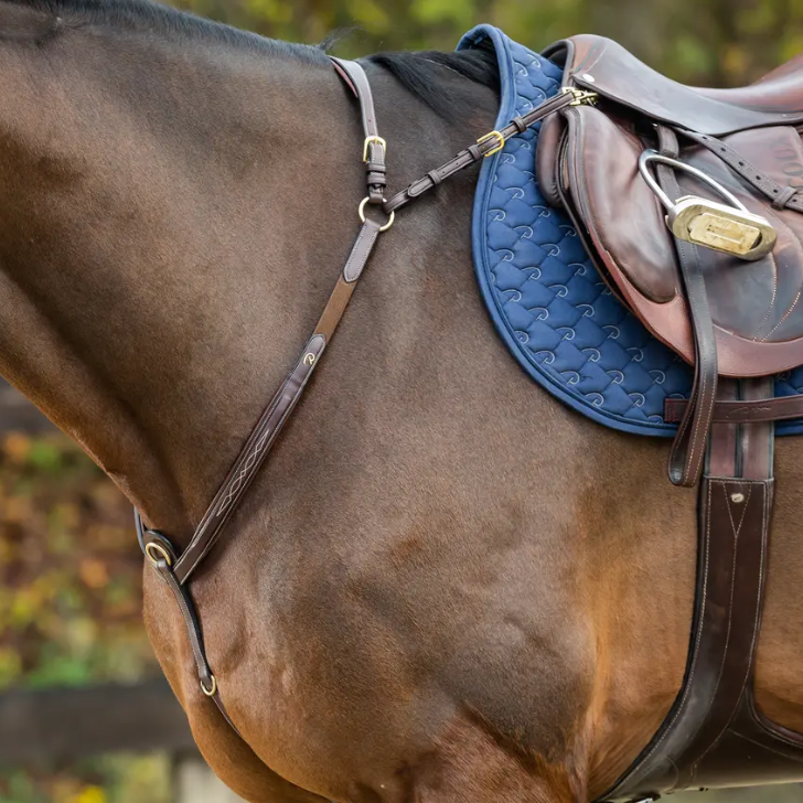 Bridge Breastplate | D COLLECTION