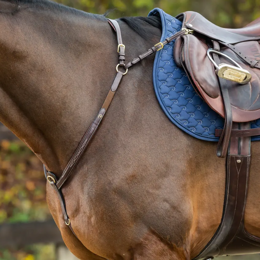 Bridge Breastplate | D COLLECTION