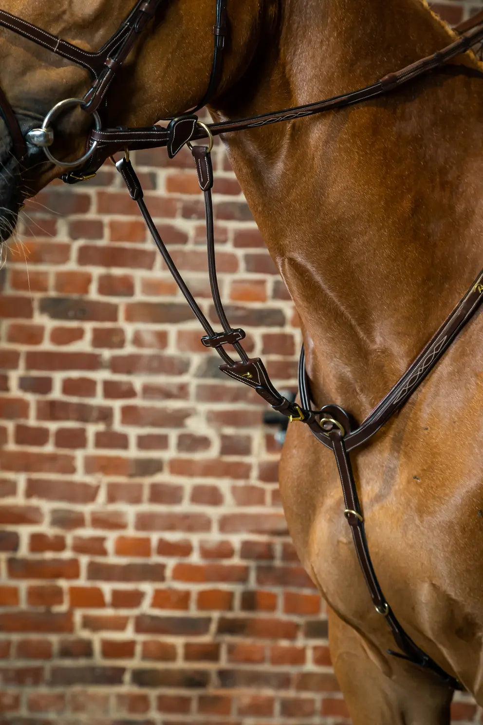 Elastic Running Martingale Attachment | D COLLECTION