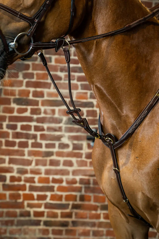 Elastic Running Martingale Attachment | D COLLECTION