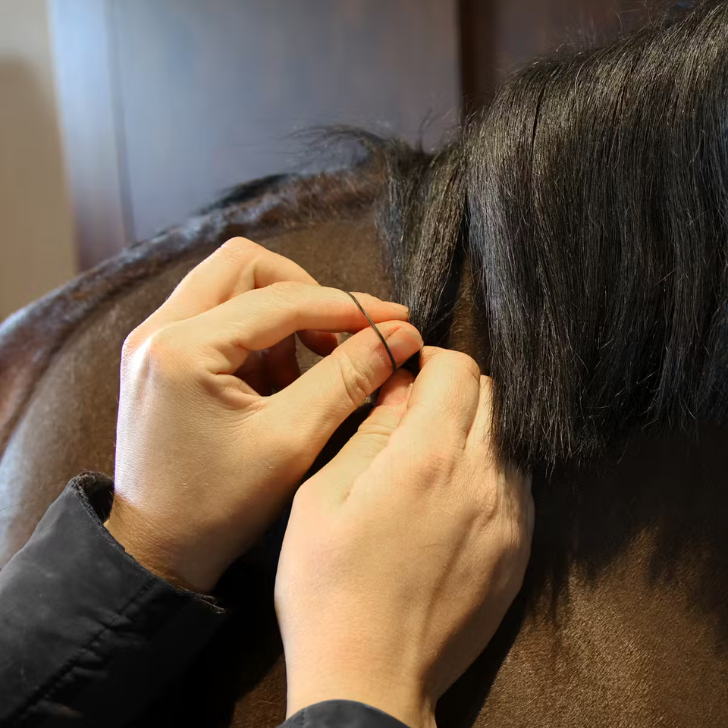 Grooming Deluxe Rubber Bands