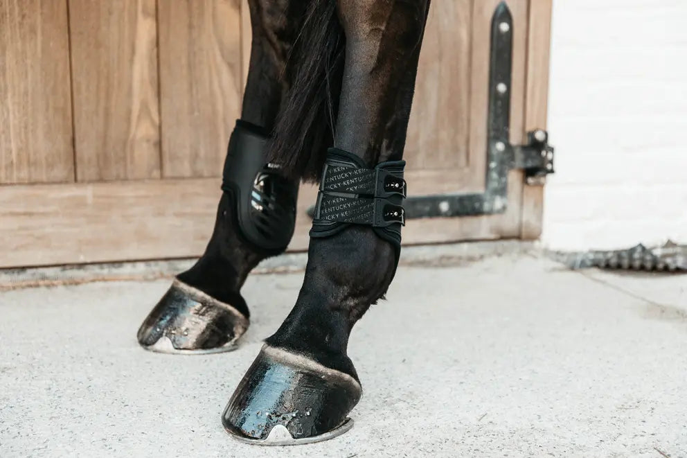 Fetlock Boots Elastic | + Colors
