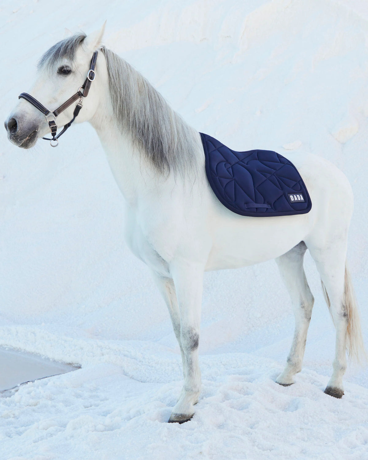 FIT FOR FUN - Saddle pad