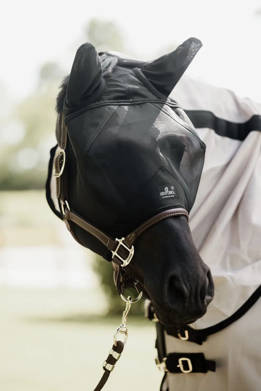 Fly Mask Classic WITH ears
