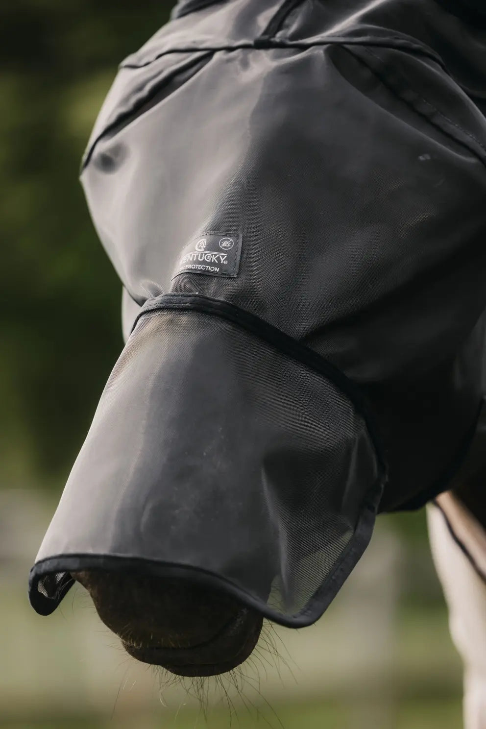 Fly Mask Classic with ears & nose