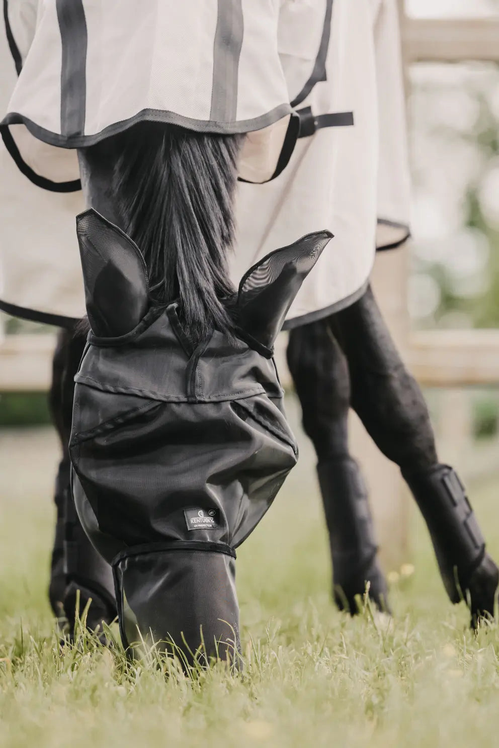 Fly Mask Classic with ears & nose