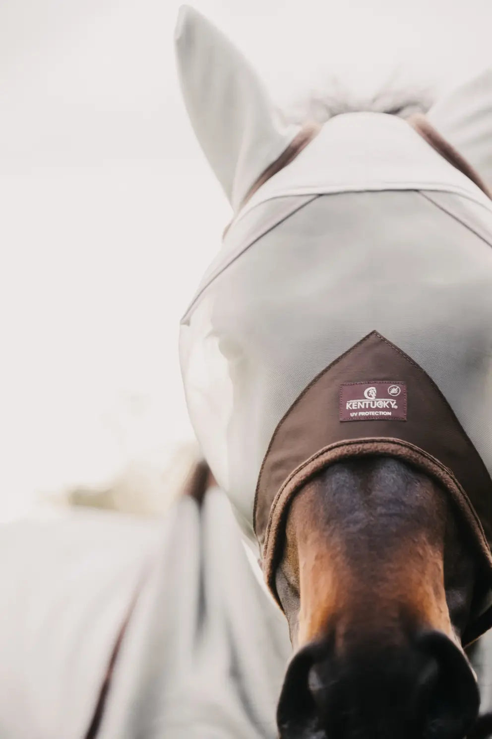 Fly Mask Classic WITH ears