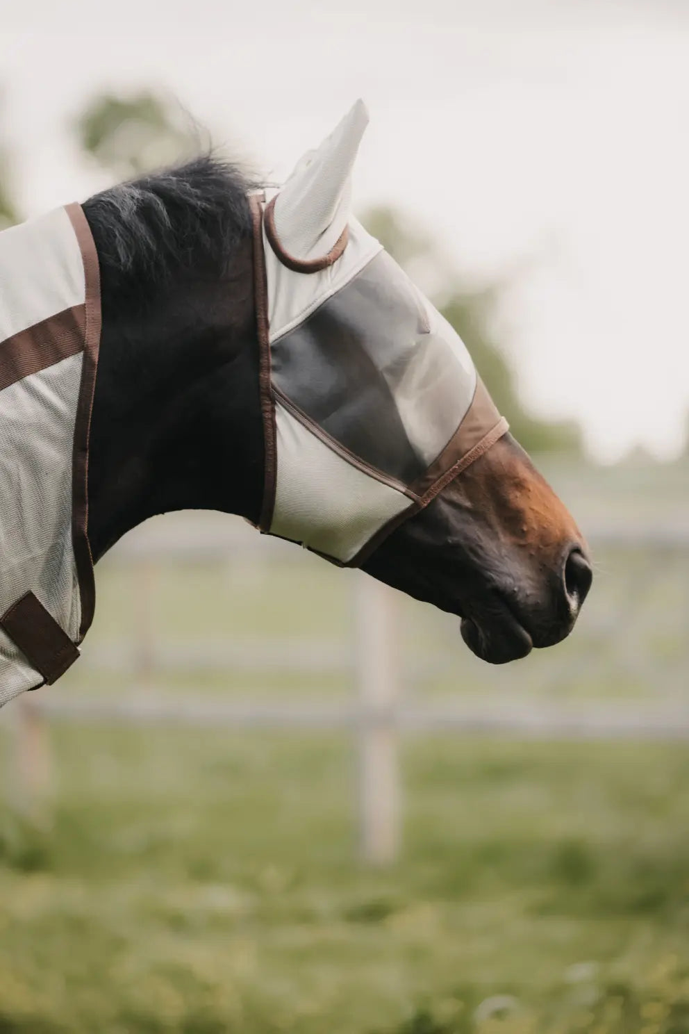 Fly Mask Classic WITH ears