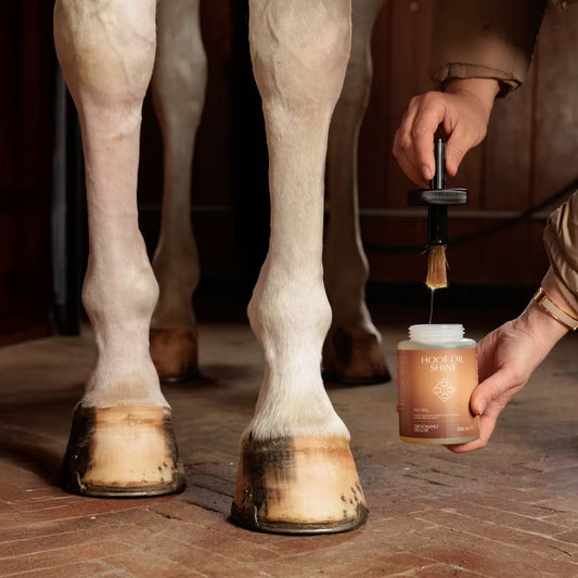 GD Hoof Oil Shine