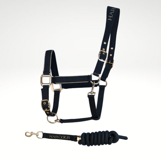 HANSY - Halter & Lead