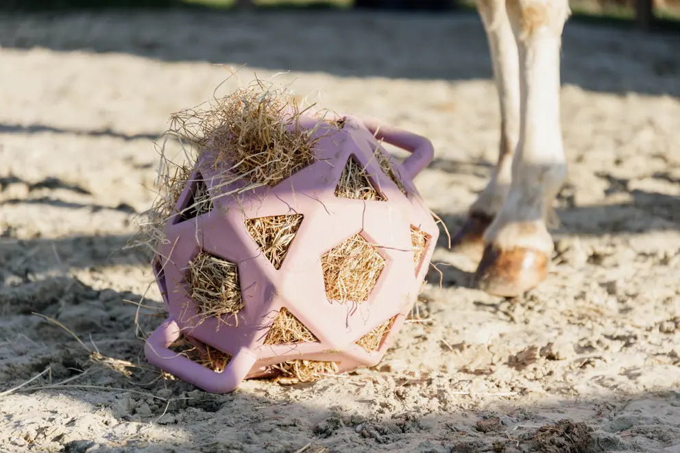 Relax Horse Play & Hay Ball