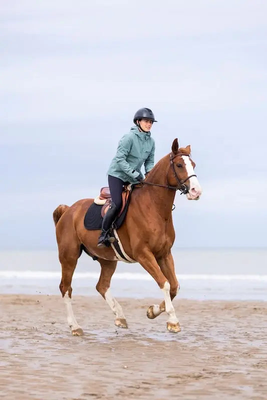 ESSENTIAL - Warm Riding Coat