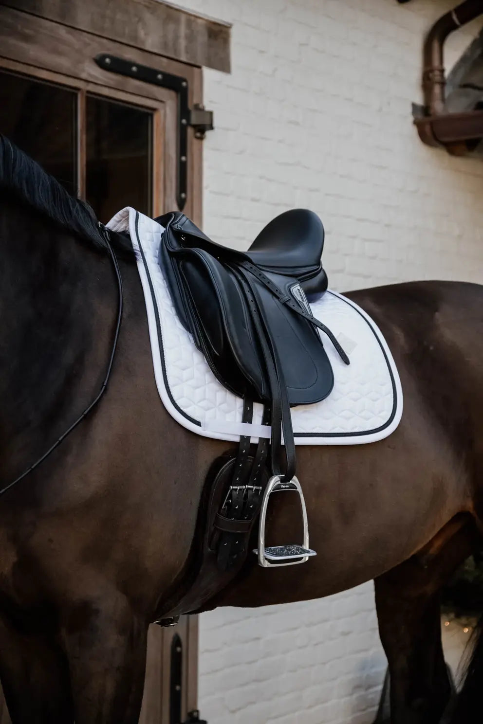Tapis de selle dressage Glitter Rope | Blanc + couleurs