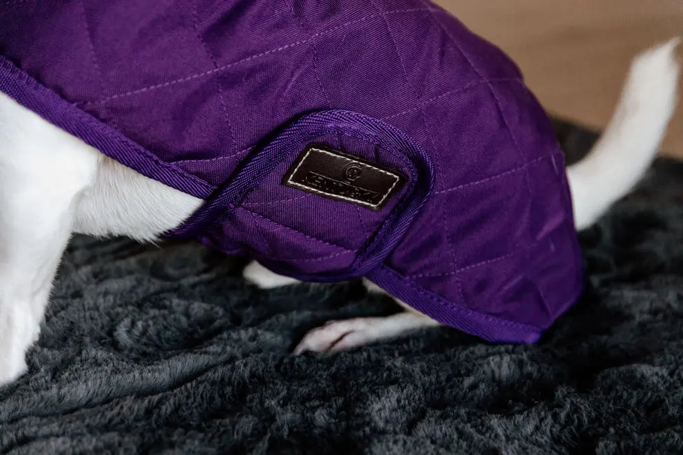 NEW! Dog Coat Original | Royal Purple