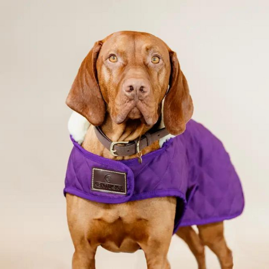 Manteau pour chien Original | Violet royal