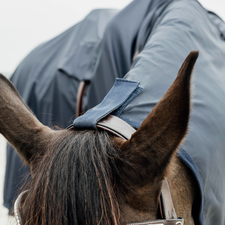 Horse Raincoat HURRICANE with stirrups holes | Navy