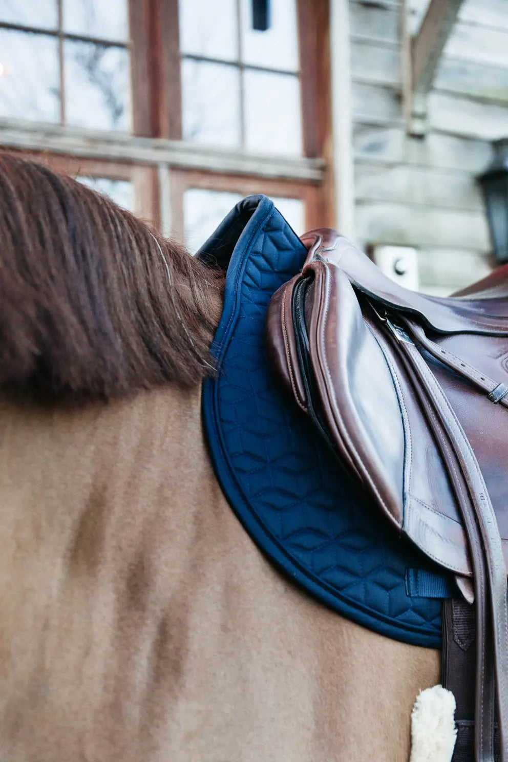 Tapis de selle de saut classique | Marine
