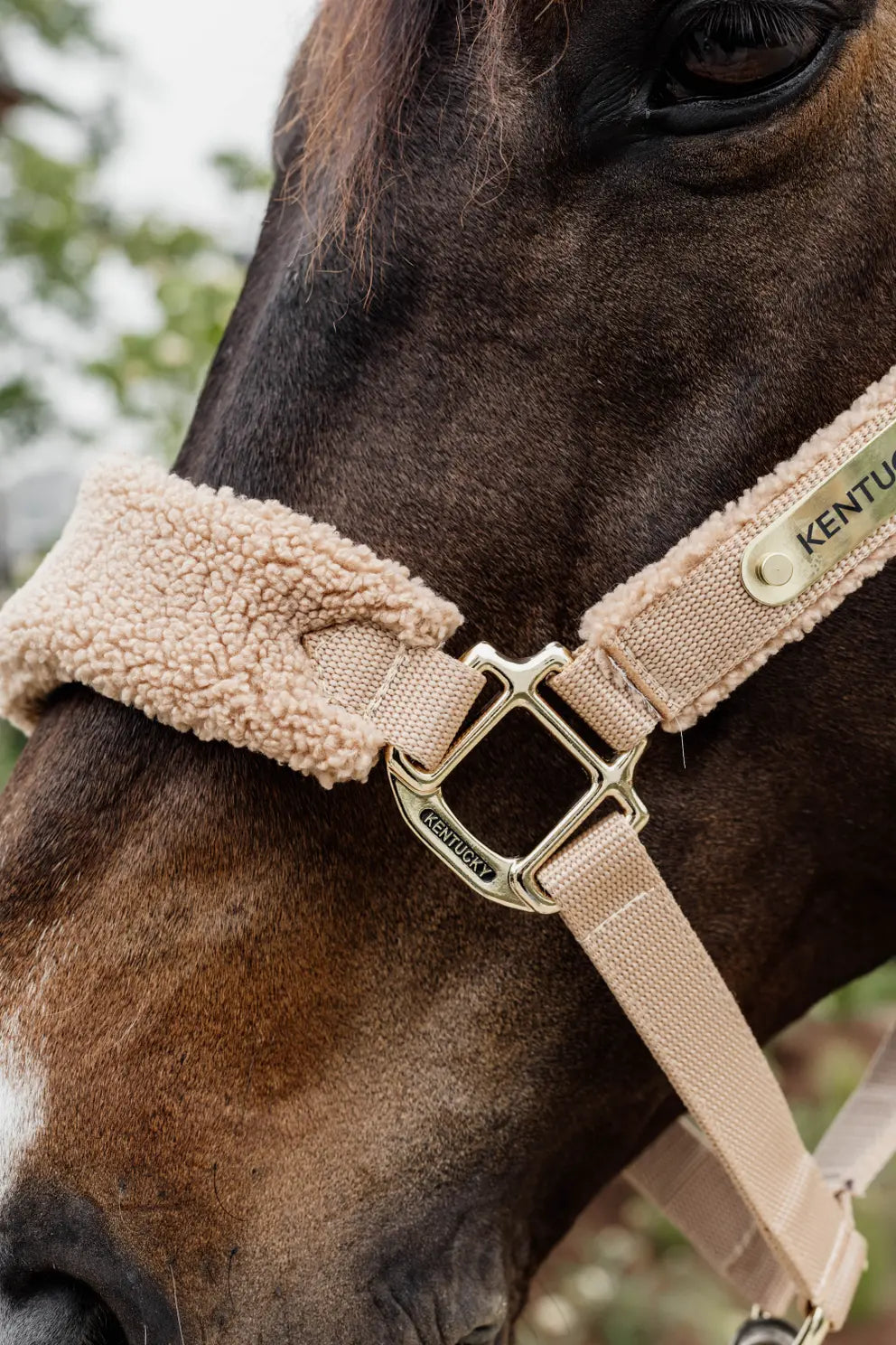 Teddy Fleece Halter | Beige