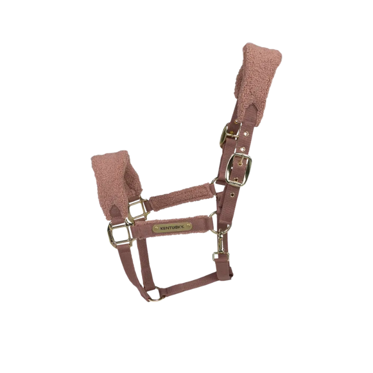Licol Teddy | Vieux Rose