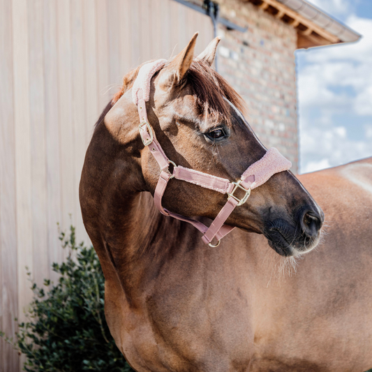 Teddy Fleece Halter | Old Rose