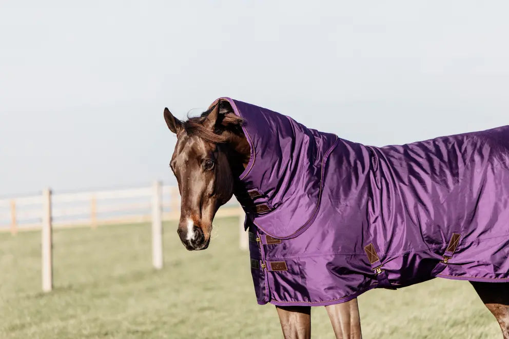 Turnout Rug All Weather Waterproof Pro 160g | Royal Purple
