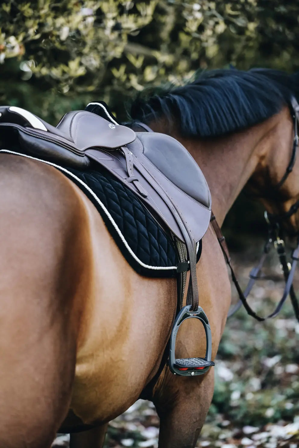 Corduroy Jumping Saddle Pad | Black
