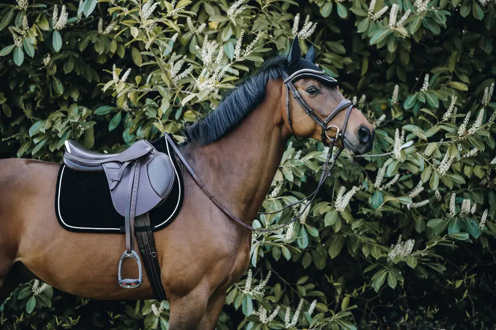 Corduroy Jumping Saddle Pad | Black