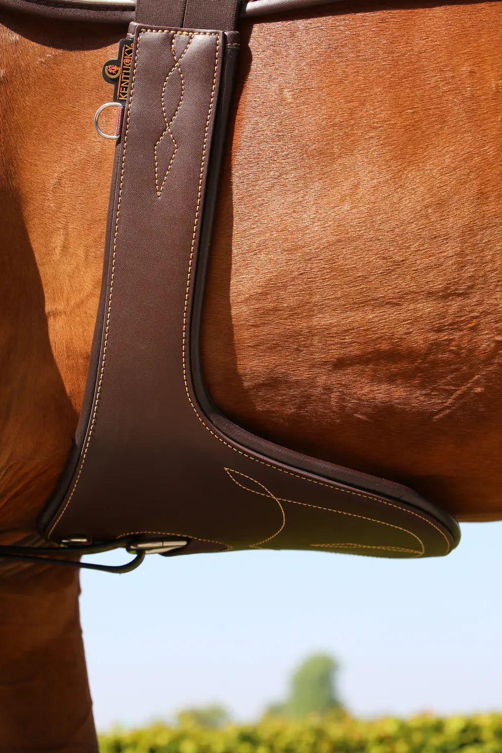 Stud Girth | Brown